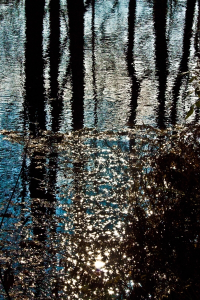 wald und wasser 1 - (c) l lammers.jpg